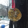Кормушка для птиц Кормушка для птиц