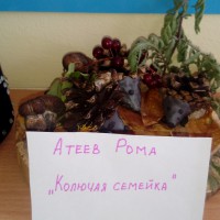 Колючая семейка Колючая семейка
