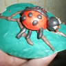 Божья коровка Божья коровка