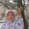 кормушка для пичужки кормушка для пичужки