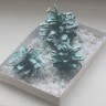 Маленькие ёлочки Маленькие ёлочки