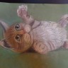 Мой любимый котёнок Мой любимый котёнок