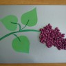 Расцвела сирень Расцвела сирень