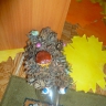 ежик ежик