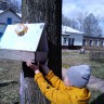 Мы смастерили кормушку Мы смастерили кормушку