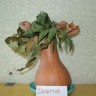 Розы в вазе Розы в вазе