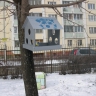Для любимых птичек Для любимых птичек