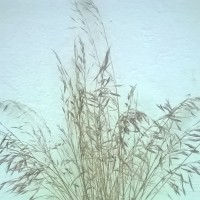 Осенняя фантазия Осенняя фантазия