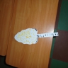 Береза осенью Береза осенью