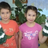"Елочка" "Елочка"