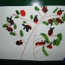 Божьи коровки Божьи коровки