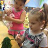 Ёлочка Ёлочка