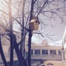 КОРМУШКА ДЛЯ ПТИЧЕК КОРМУШКА ДЛЯ ПТИЧЕК