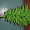 Звёздная ёлочка Звёздная ёлочка