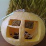 Кормушка для пичужки Кормушка для пичужки