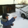 холодно, голодно птицам зимой холодно, голодно птицам зимой
