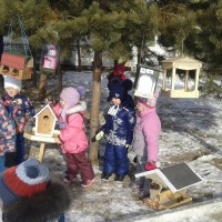 кормушка для пичужки кормушка для пичужки