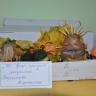 "Пингвин" "Пингвин"
