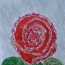"Роза" "Роза"