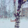 Кормушечка Кормушечка