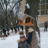 Зимний домик для птиц Зимний домик для птиц