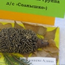 Ёжик Ёжик