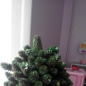 Елочка из шишек. Елочка из шишек.