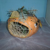 Домик паучка Домик паучка