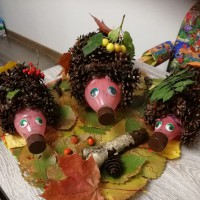 осенние сборы урожая😊 осенние сборы урожая😊