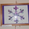 DSCN0338.jpg