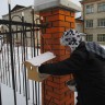 Кормушка обыкновенная Кормушка обыкновенная