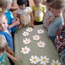 Ромашковый хоровод Ромашковый хоровод