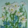 ромашки ромашки