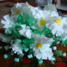 Ромашки Ромашки
