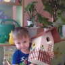 Домик для птичек Домик для птичек