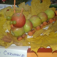 "Веселая гусеничка" "Веселая гусеничка"