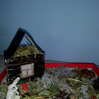 Заюшкина избушка Заюшкина избушка