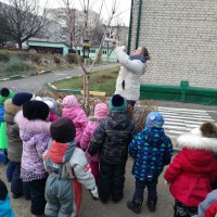 Мы кормушку смастерили! Мы столовую открыли! Мы кормушку смастерили! Мы столовую открыли!