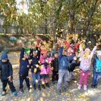 Письма осени