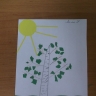DSCF3837.jpg Белая береза DSCF3837.jpg Белая береза
