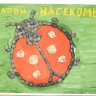Божья коровка Божья коровка