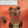 Мишка косолапый Мишка косолапый