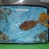 На морском дне На морском дне