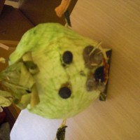Смешарик из капусты Смешарик из капусты
