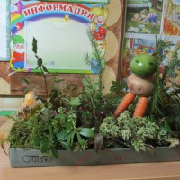 Лось на болоте Лось на болоте