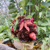 Лесной ёжик