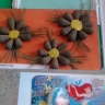 Осенние цветочки Осенние цветочки