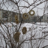 Кормушка для пичужка Кормушка для пичужка