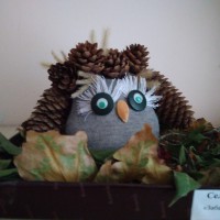 Совенок Совенок