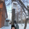 Домик для синички. Домик для синички.